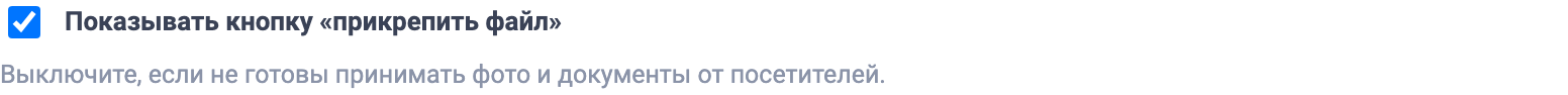 Галочка «Показывать кнопку „прикрепить файл“»